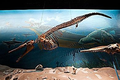 恐怖生存游戏《ILL》新预告 恐怖刺激颤栗